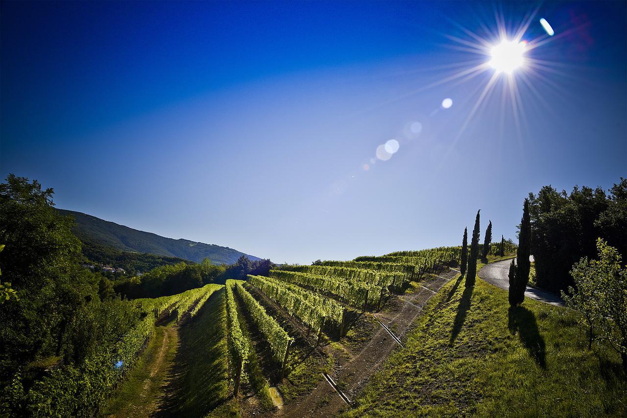 Venica & Venica Wine Resort Dolegna del Collio Ngoại thất bức ảnh
