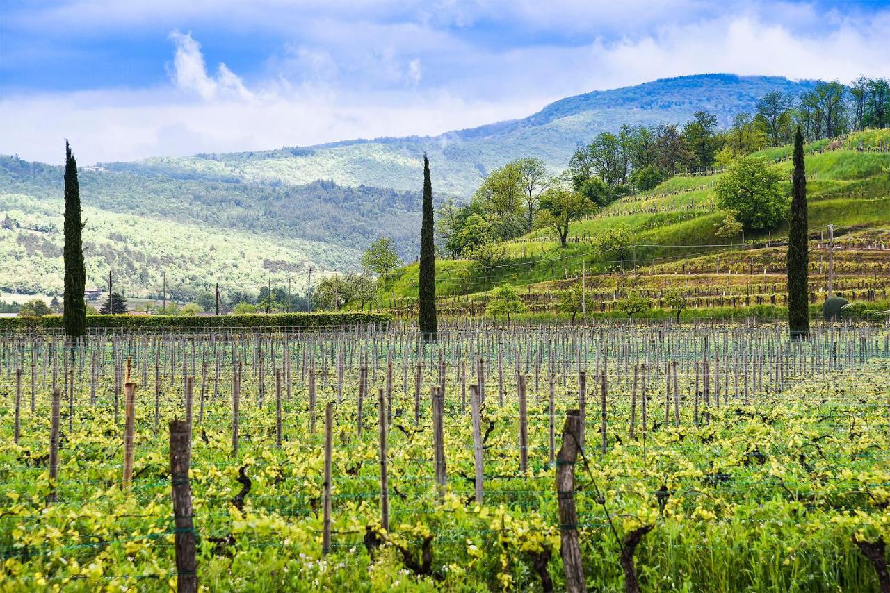 Venica & Venica Wine Resort Dolegna del Collio Ngoại thất bức ảnh